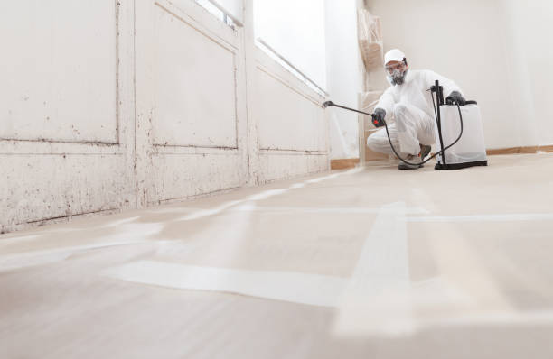 24/7 Emergency Mold Remediation experts in Springs, PA
